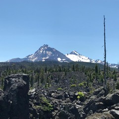 2019 Tribal Council Candidates Forum Eugene