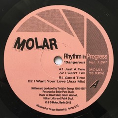 MOL01 - "Dangerous Vol. 1 EP“ by Rhythm In Progress