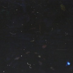 la última hoja del árbol