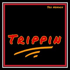 Seo Hendrix - trippin'