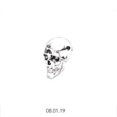 Skull Vision Volume 2