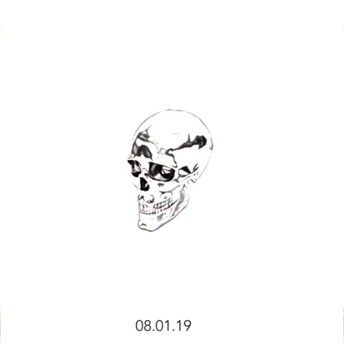 Skull Vision Volume 2