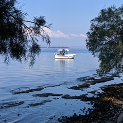 Coral Reef - South Euboean Gulf, Greece