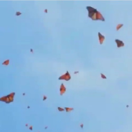 Gosh 7 minute loop Jamie xx