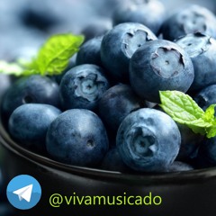 آترین – خواننده دوره گرد