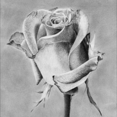 allbout life feat. SkywalkerEnk (prod. xenshel)