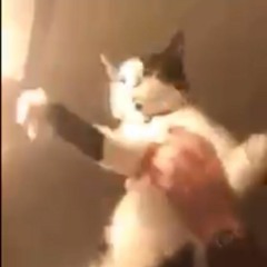 boulanger podcast ~ augustus