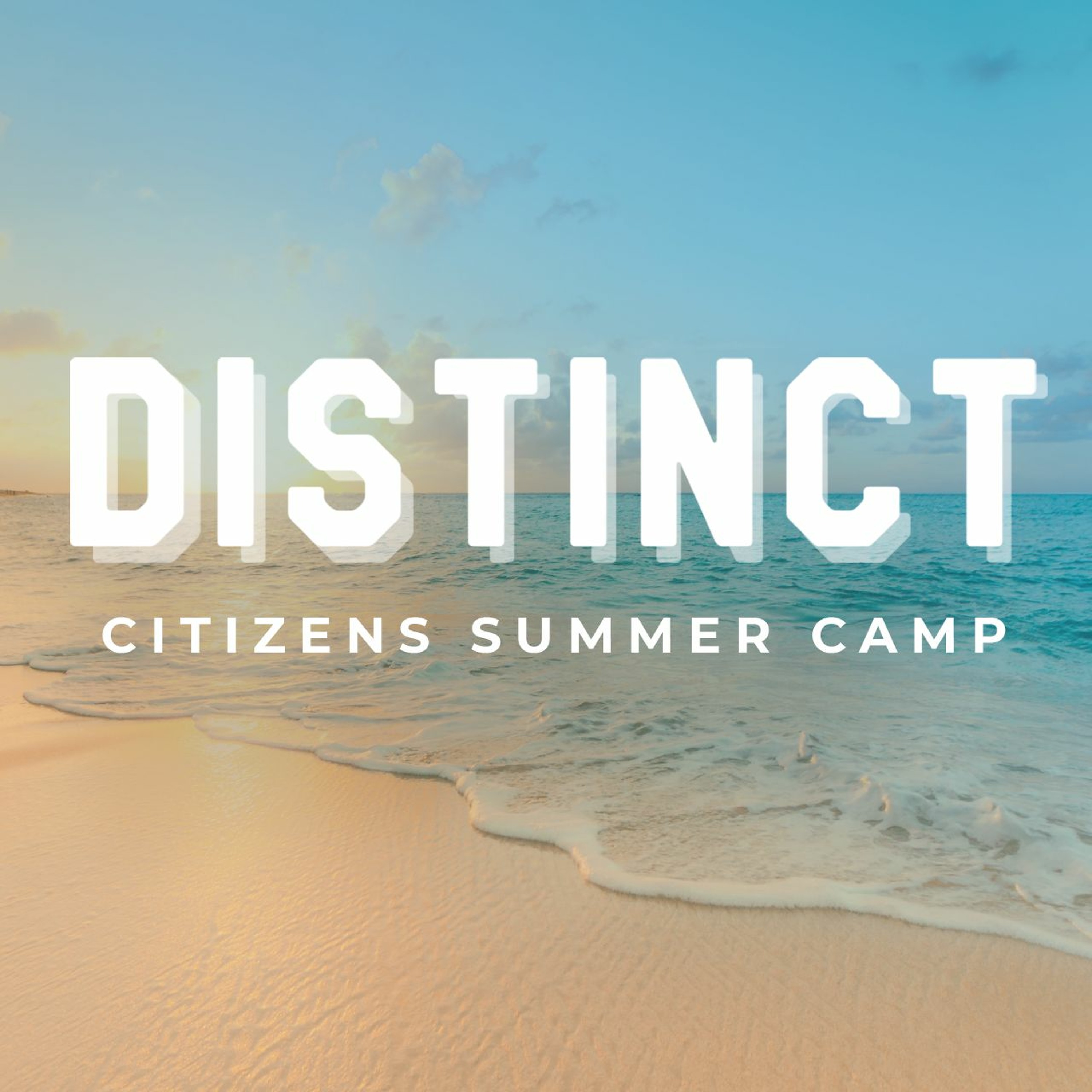 Distinct: Summer Camp 2019 - Night 3 episode artwork