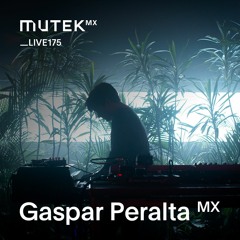MUTEKLIVE175 - Gaspar Peralta
