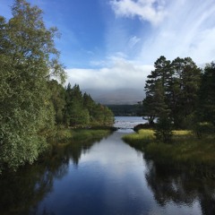 All the Right Things