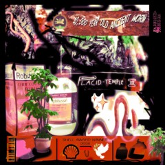 Placid-temple II. (2028)