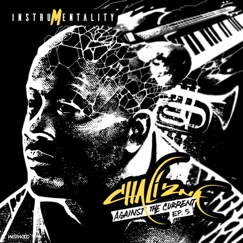 Chali 2na - Change The World