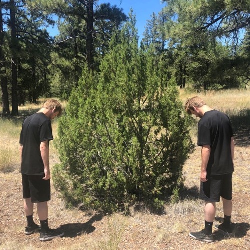 hand crushed by a mallet - gupi funny mix (official funny mix)