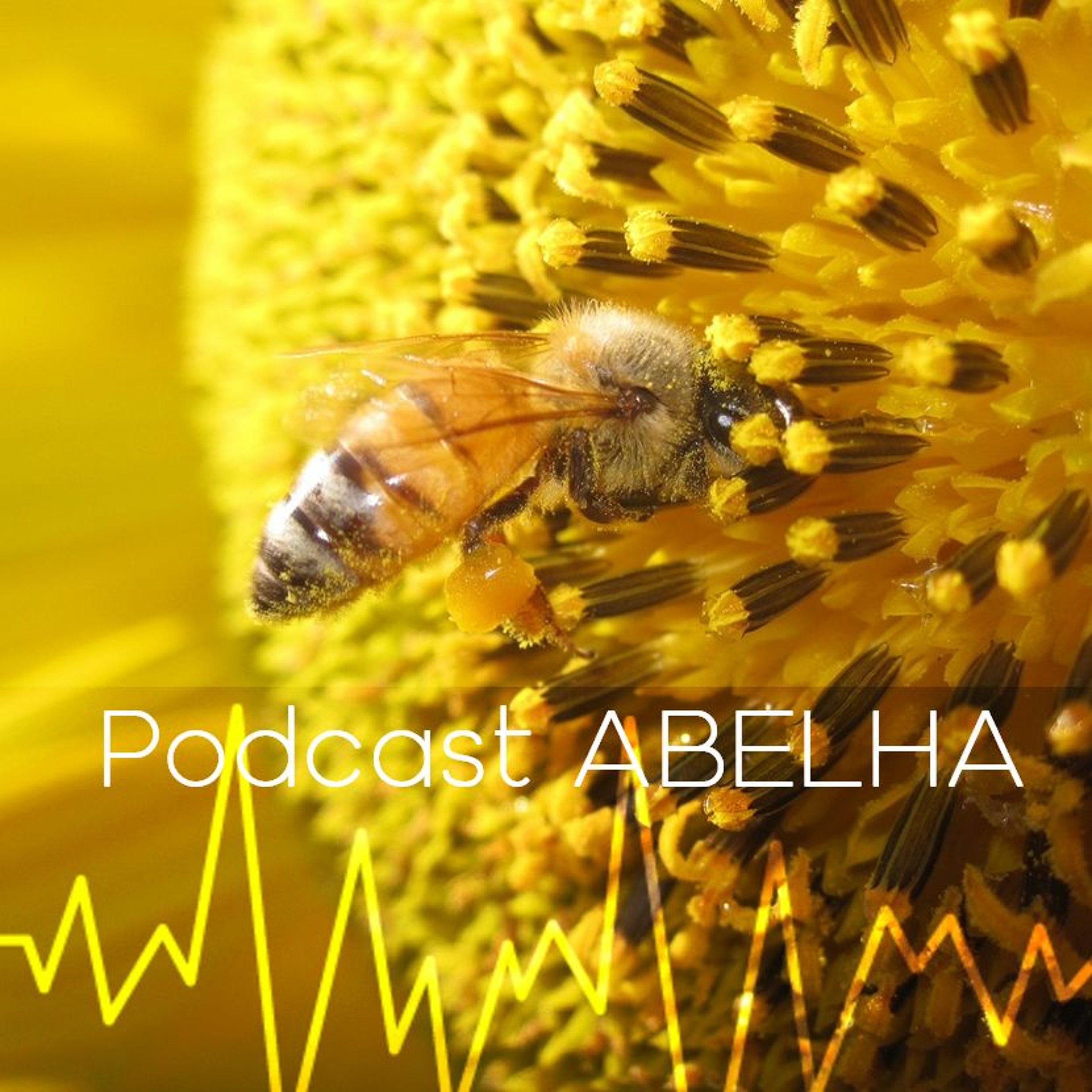 Podcast ABELHA