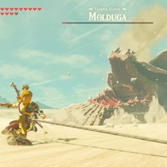 Molduga - Tremors & Battle (Zelda: Breath of the Wild)