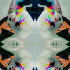 Nekkomata - Lazy Catt (demo live set)