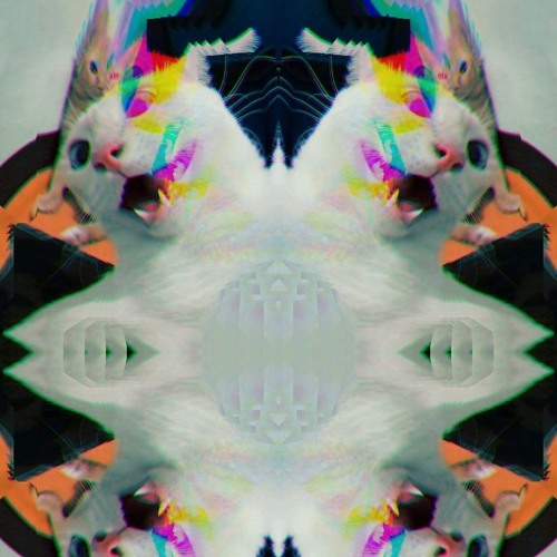 Nekkomata - Lazy Catt (demo live set)