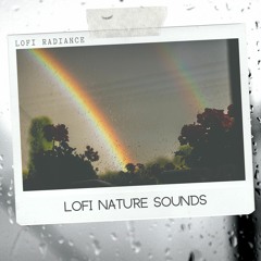 Rainforest Beats