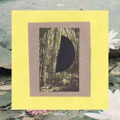 Hidden Forest (Preview)