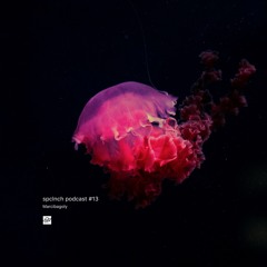 spclnch podcast #13 / Marcibagoly