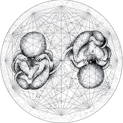 V/A Organic Elements EP (Artefakt, Alan Backdrop, Ben Gibson, Tripsolate & Redundant) SBCV003