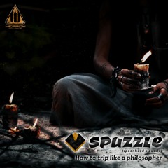 Spuzzle - It's Such a HippyThing to Say [Teaser]