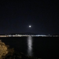 SUMMER NIGHTS