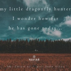 naviarhaiku291: my little dragonfly hunter