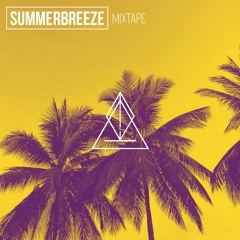 Summerbreeze 2019 [Mixtape]