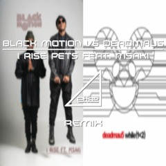 Black Motion VS Deadmau5 - I Rise Pets Feat. Msaki (ettee Mashup Bootleg)