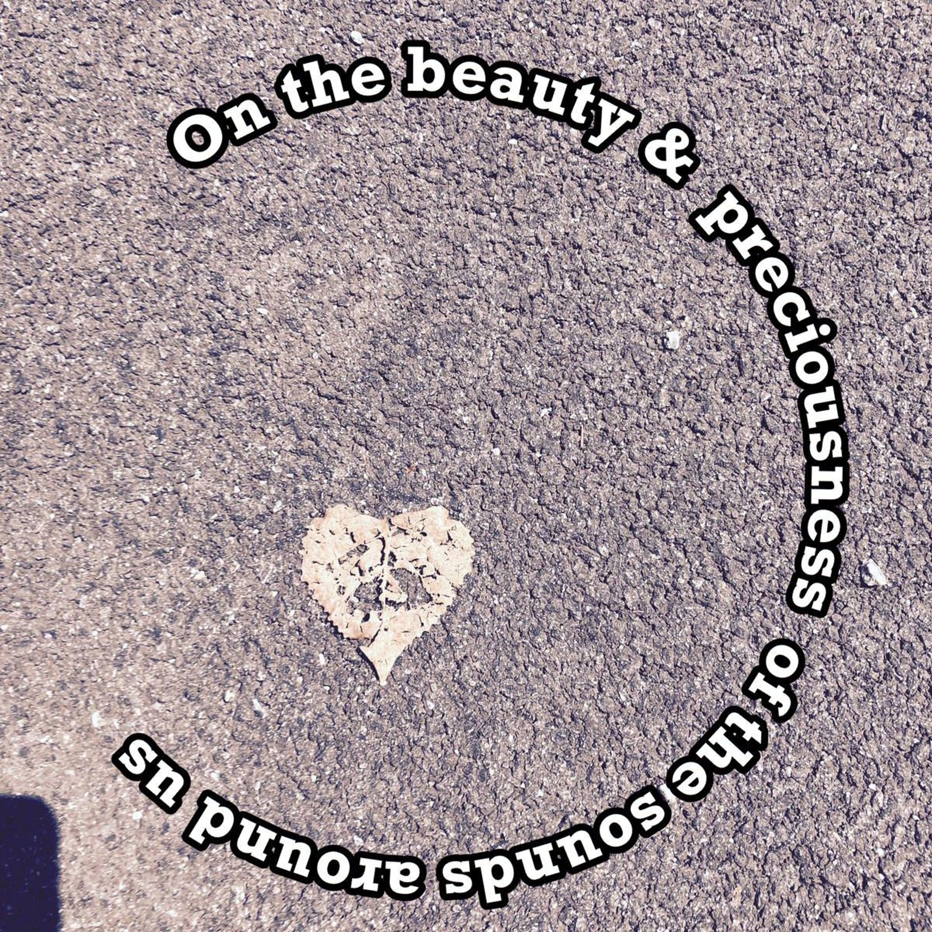 On the Beauty & Preciousness of Sounds Around Us: Tisha Bites; Ep. 1 episode artwork