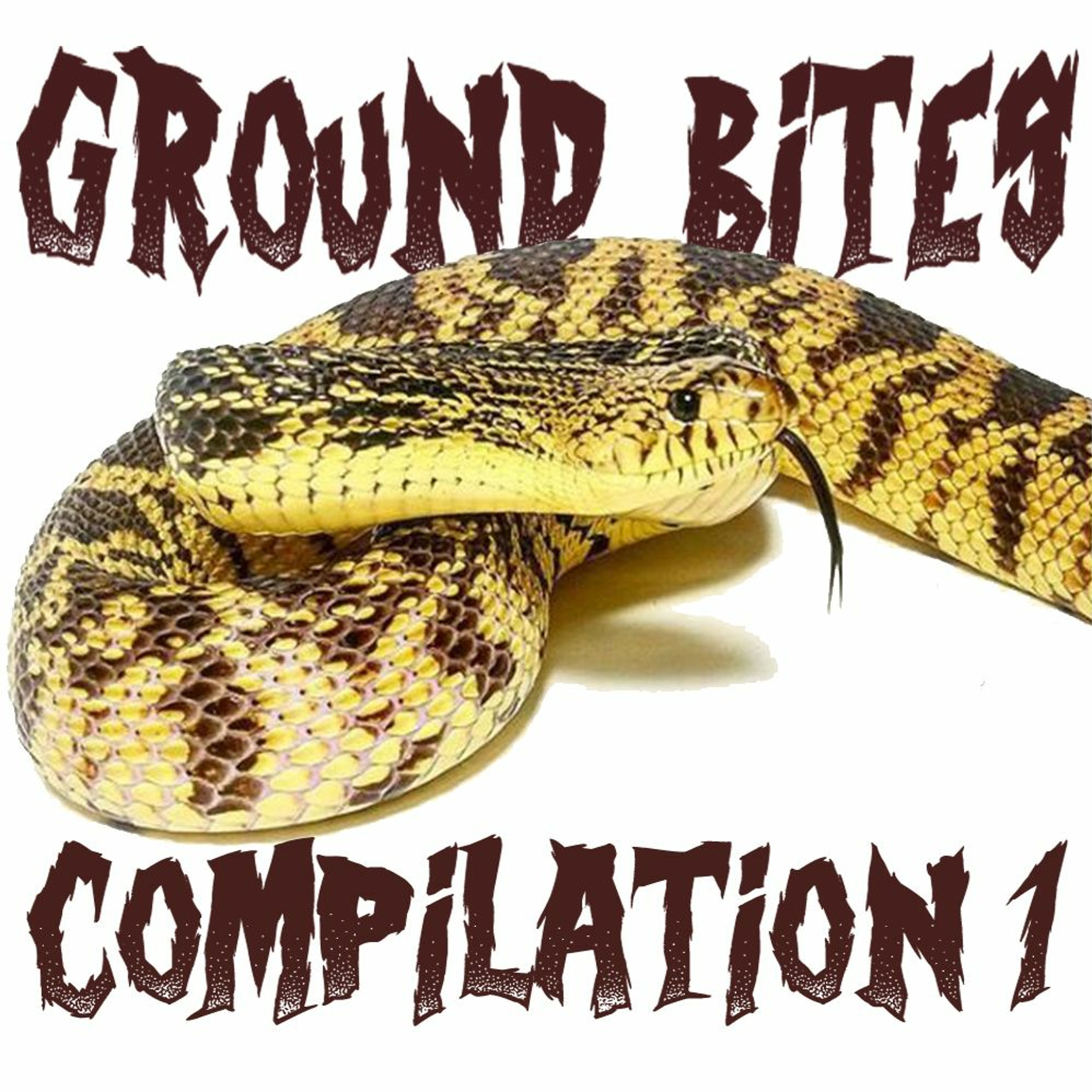 Modern Medusa Reptile Podcast - Where we talk everything cold-blooded (Snake Podcast)