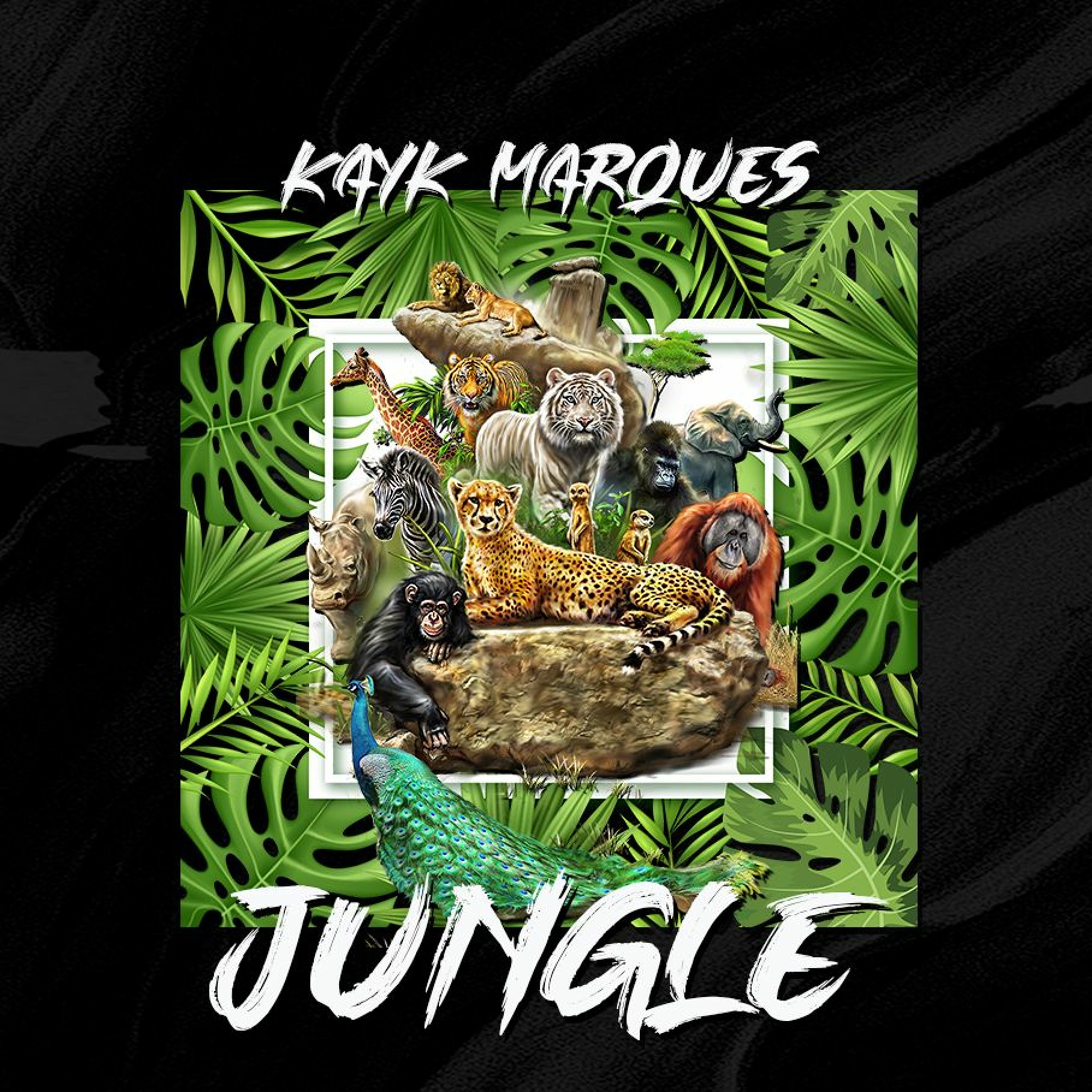 Kayk Marques