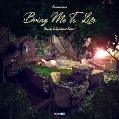 Rowdy & Symbiont - Bring Me To Life Remix [Free download]