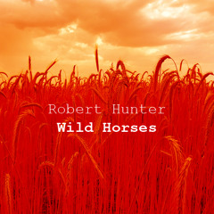 Wild Horses [Radio Edit]