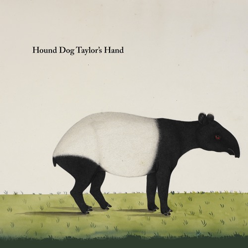 Hound Dog Taylor's Hand