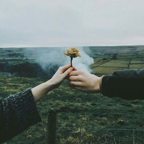 عايزاك متخافش | مى عبدالعزيز