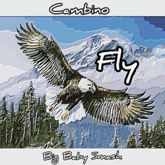 Fly ft Big Baby Smash