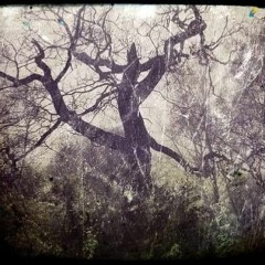 Sleepy Hollow (feat. Mobbs Radical)