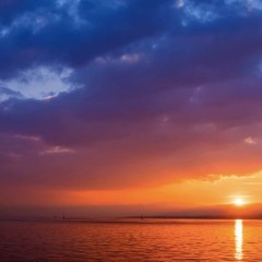 I want you around - Snoh Aalegra cover