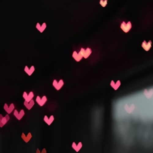 Fly Love