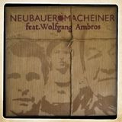 Neubauer&Macheiner feat.Wolfgang Ambros  - Zu Ihrer Tür
