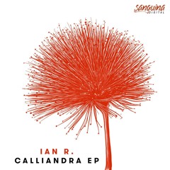 002 - Ian R. - Calliandra (Wave Particle Singularity Remix) (Snippet) [SNGD006]
