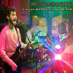 Dead Leaves And The Dirty Ground [White Stripes Cover] (Live On WZRD Chicago 88.3 FM)