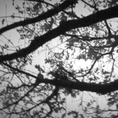 NFWMB - Hozier cover