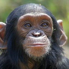 SuperSoul - August 2019