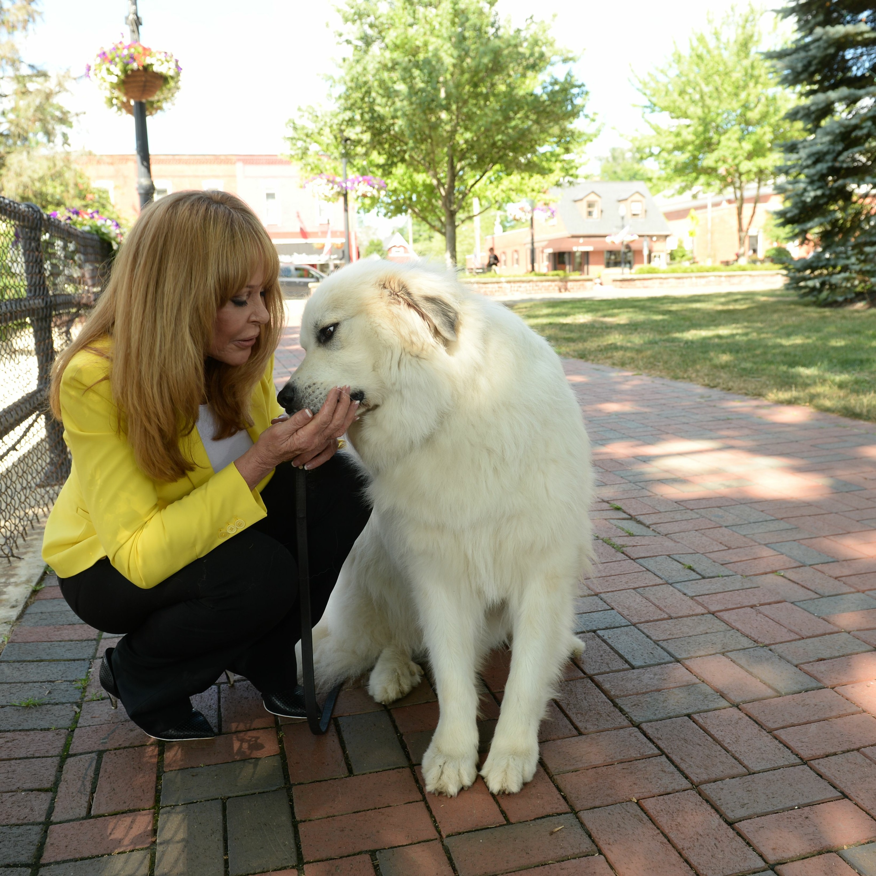 Integrative Approaches To Pet Health With Dr. Carol Osborne