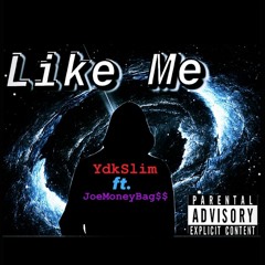 Like Me - YdkSlim ft. JoeMoneyBag$$