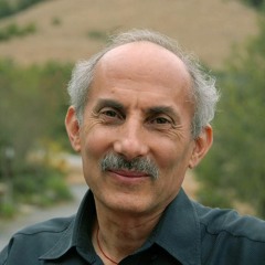 Stopping The War Within - Jack Kornfield