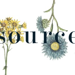 5 Minute Call (Freestyle) (Prod. By WIM)